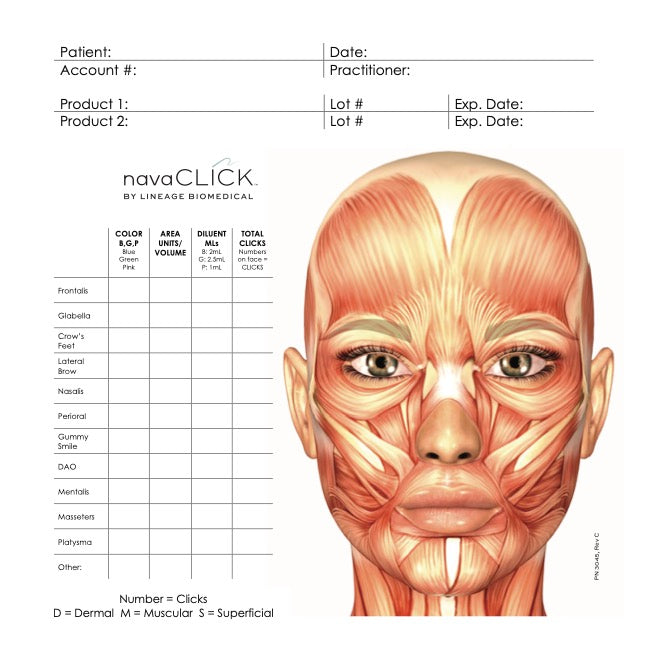 Face Map 8.5x8.5 Print Lineage Biomedical
